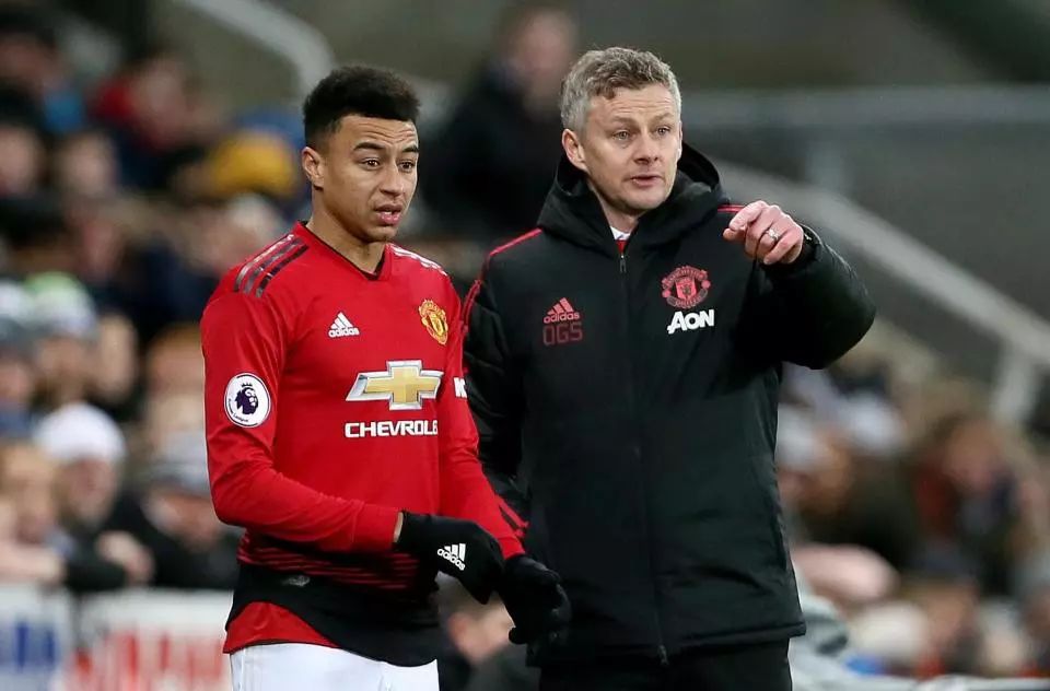 整和适应 整和适应